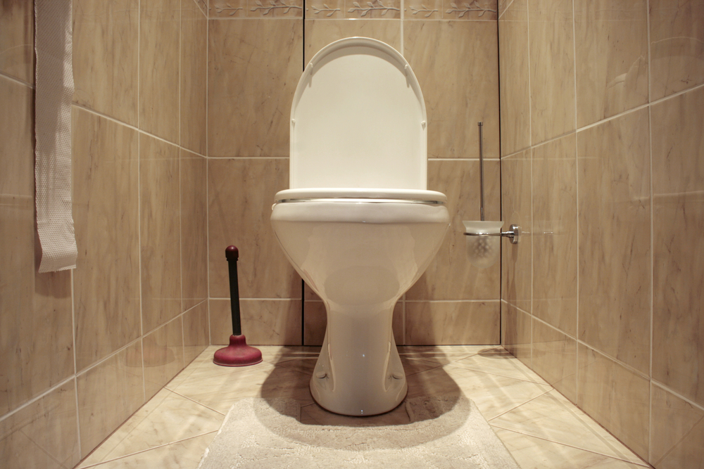 Home flush toilet (toilet bowl, paper, plunger)