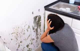 Woman Looking At Mold On Wall