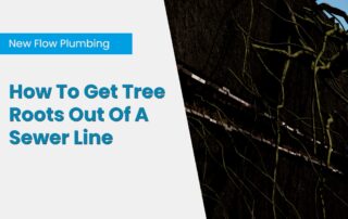 How To Get Tree Roots Out Of A Sewer Line (1)