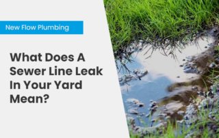 NFP Blog Cover What Does A Sewer Line Leak In Your Yard Mean_