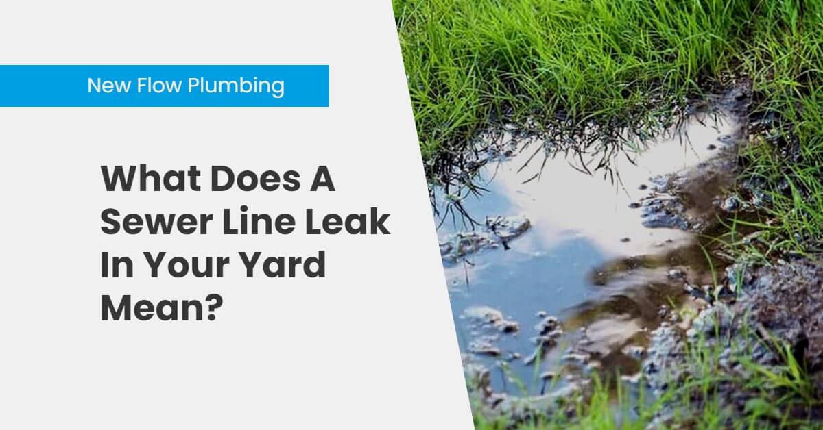 NFP Blog Cover What Does A Sewer Line Leak In Your Yard Mean_