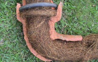 Sewer Line Damage