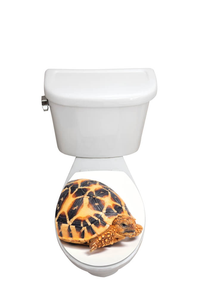 How To Repair Cast Iron Pipe